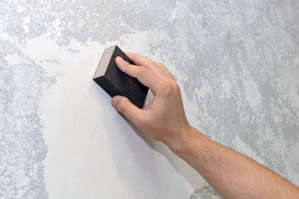 Best Residential Mold Inspection & Testing  in Lake Holiday, IN
