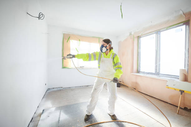Best Attic Mold Removal  in Lake Holiday, IN