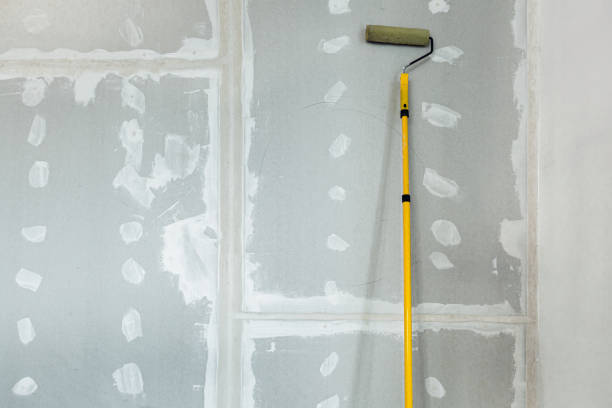 Best HVAC Mold Inspection and Cleaning  in Lake Holiday, IN