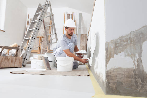 Best Mold Remediation for Healthcare Facilities  in Lake Holiday, IN
