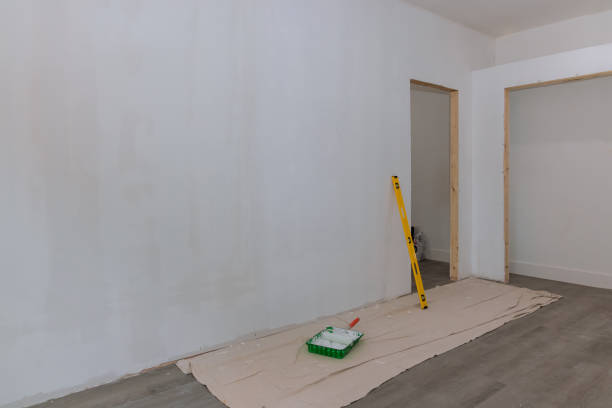 Best Mold-Related Health Consultation  in Lake Holiday, IN