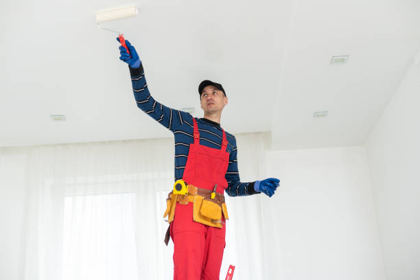 Best Comprehensive Air Testing for Mold Contaminants  in Lake Holiday, IN