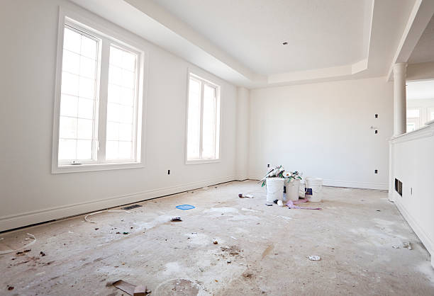 Best Mold Removal for HVAC Installations  in Lake Holiday, IN