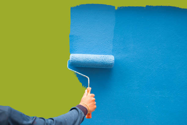 Best Water Damage & Mold Remediation  in Lake Holiday, IN